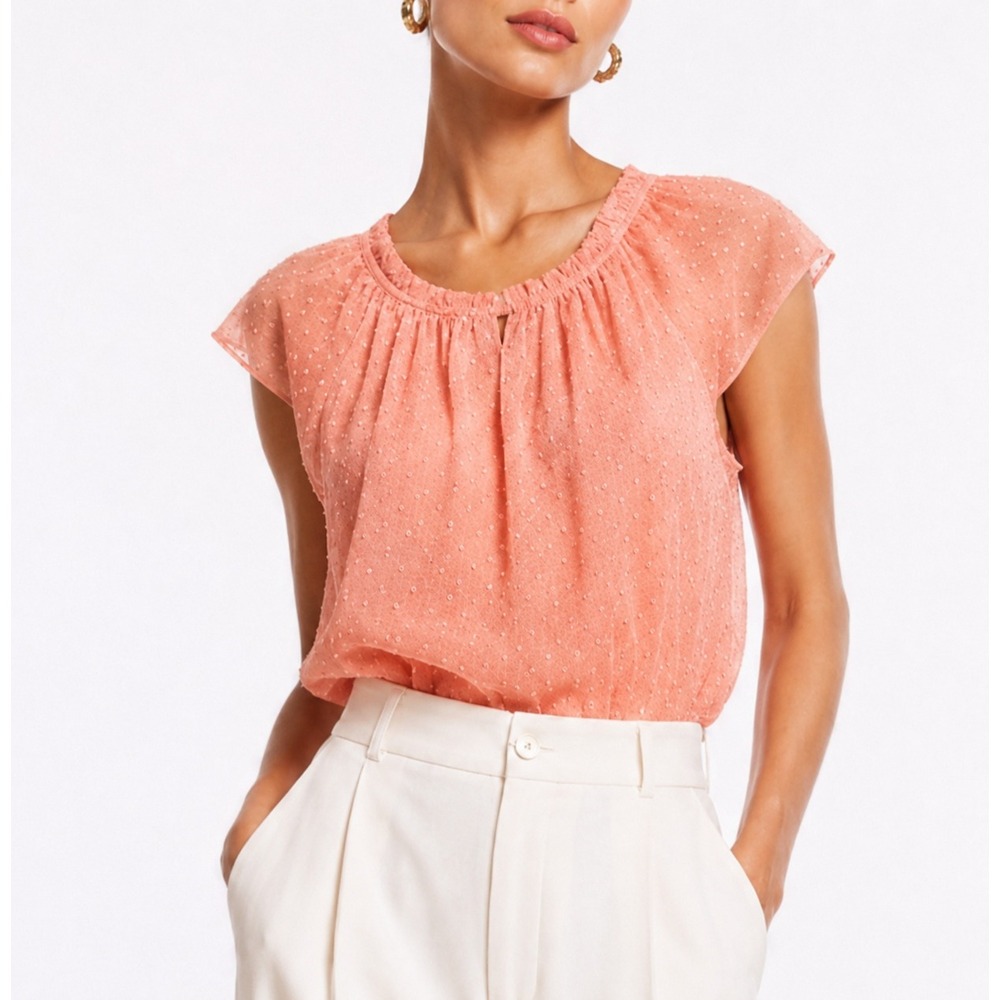 J.Crew Coral Coquettte Pink Swiss Dot Ruffle Neck Flutter Sleeve Top XS New